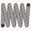 DELPHI SC10043 Coil Spring